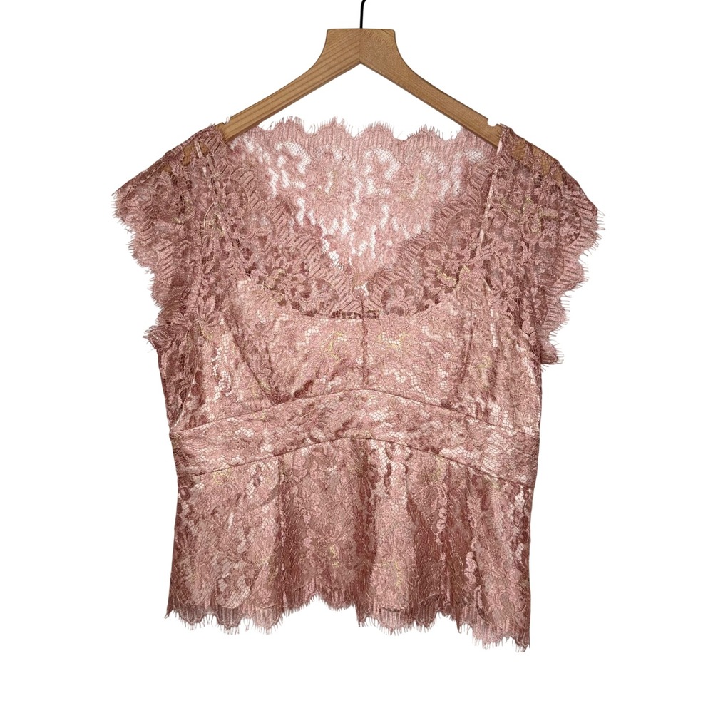 Pink Lace Peplum Top 14P Pink V-Neck Layering MOB Romantic Feminine Fairy NEW